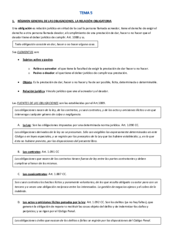 TEMA-5-civil-a-limpio.pdf