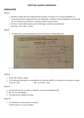 Practicas Quimica Inorganica.pdf