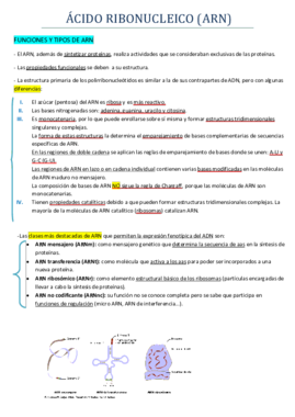 TEMA 6 ARN.pdf