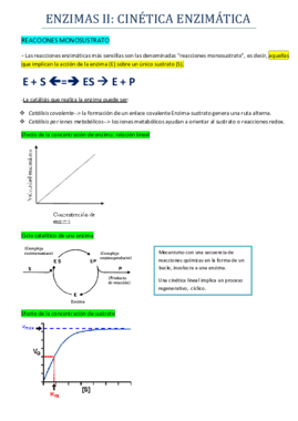 TEMA 10 ENZIMAS II.pdf