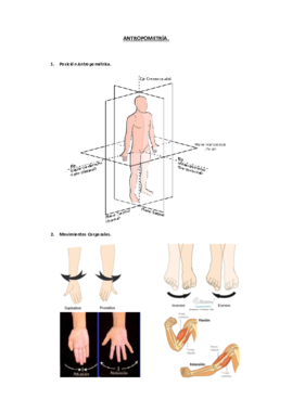 ANTROPOMETRÍA.pdf