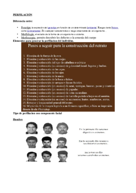 PERFILACION.pdf