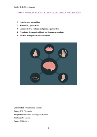 TEMA-1-Introduccion-a-la-psicologia-de-la-percepcion.pdf