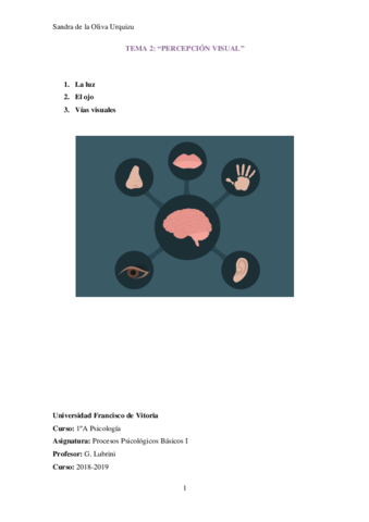 TEMA-2-Percepcion-visual.pdf