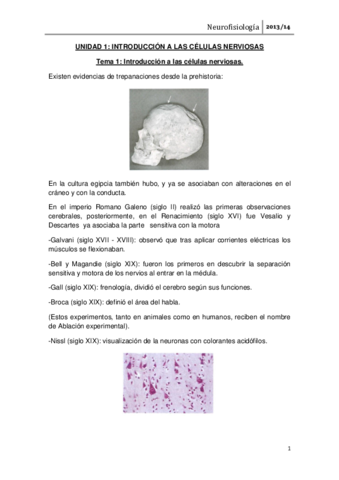 NEUROFISIOLOGÍA completa.pdf
