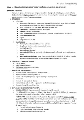 TEMA-55-Sindromes-meningia-i-dhipertensio-endocraniana-Dr-Estruch.pdf