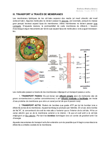 III.-Transport-a-traves-de-membranes.pdf