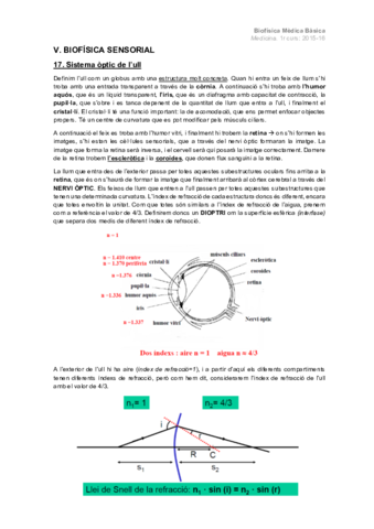 V.-Biofisica-sensorial.pdf