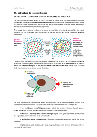 T6.-Estructura-de-les-membranes.pdf