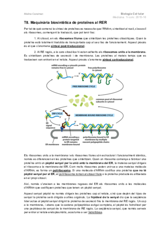 T8.-Maquinaria-biosintetica-de-proteines-al-RER.pdf