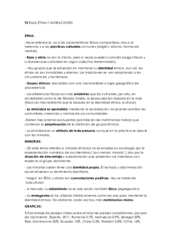resumenes-T3-y-lectura.pdf