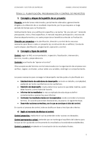 TEMA-11-ECONOMIA.pdf