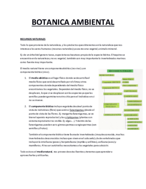 BOTANICA AMBIENTAL FINAL.pdf