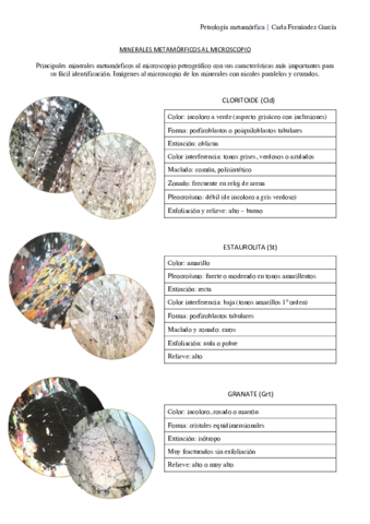 Minerales-metamorficos-al-microscopio-.pdf