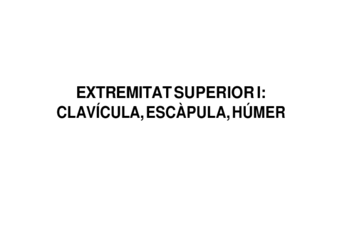 EXTREMITAT-SUPERIOR-I-Campus-virtual-1-converted.pdf