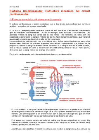 Biofisica-cardiovascularAlexFajas.pdf