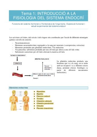 Sistema-endocri-apuntes.pdf