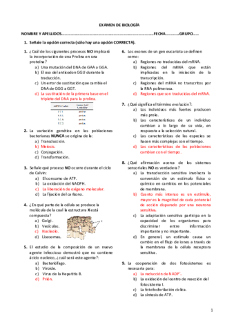 2019-1-17-Febrero-EXAMEN-COREEGIDO.pdf