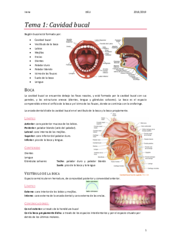 DGU-anatomia-Tema-1-La-boca.pdf