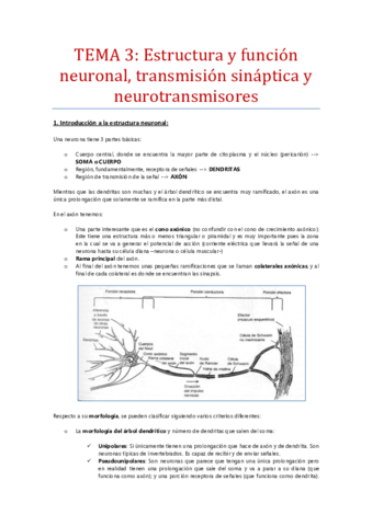 Tema-3-Estructura-neuronal-transmision-sinaptica-y-neurotransmisores.pdf