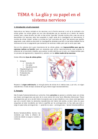 Tema-4-La-gliapapel-en-el-desarrollo-del-SN-la-funcion-neuronal-y-la-neurodegeneracion.pdf