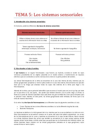 Tema-5-Los-sistemas-sensoriales.pdf