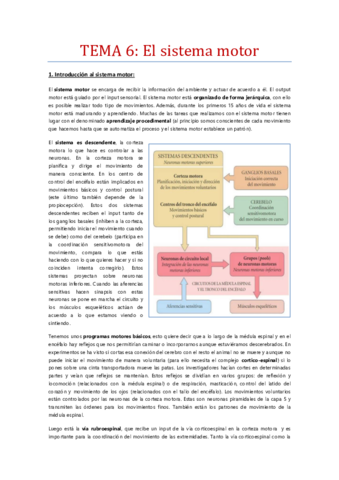 Tema-6-Los-sistemas-motores.pdf
