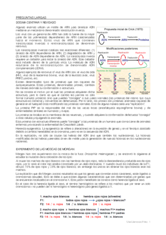 Examen-copia.pdf