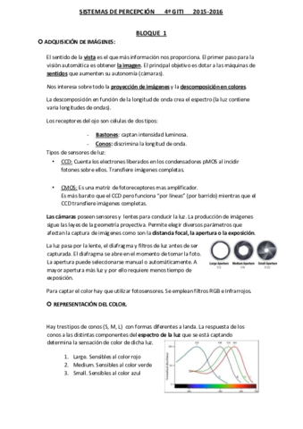 PERCEPCION-MI-RESUMEN.pdf