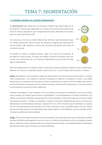TEMA-7.pdf