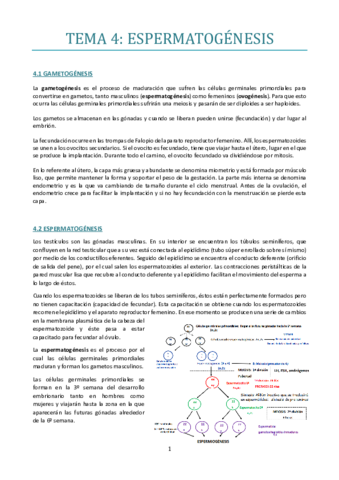 TEMA-4.pdf