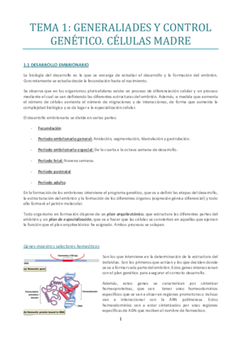 TEMA-1.pdf