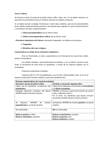 Ampliacion-de-histologia-Tema-7.pdf