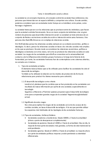 Tema-3.pdf