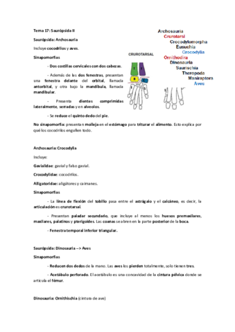 Ampliacion-de-zoologia-Tema-17.pdf