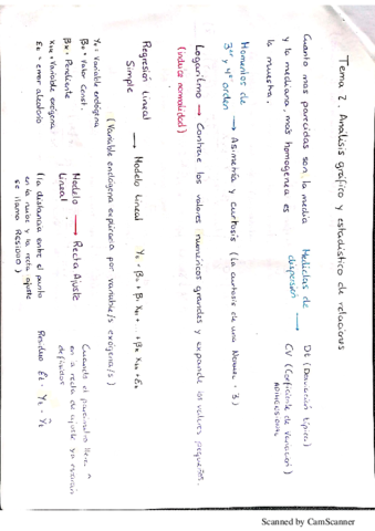 Resumen-econometria-T2-y-T3.pdf