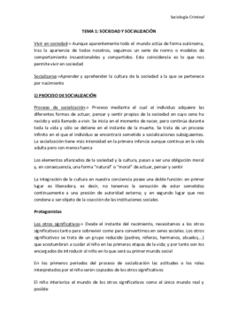 TEMA 1.pdf