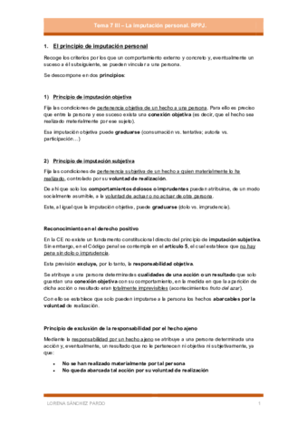 Tema-7-III-La-imputacion-personal.-RPPJ..pdf