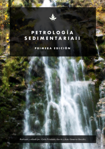 Libro-apuntes-petrologia-sedimentaria-II.pdf