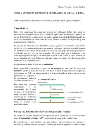 TEMA-6-virologia.pdf
