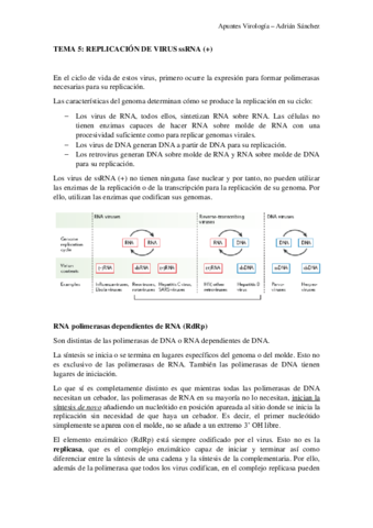 TEMA-5-virologia.pdf
