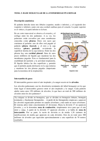 TEMA-3-Patologia-molecular.pdf