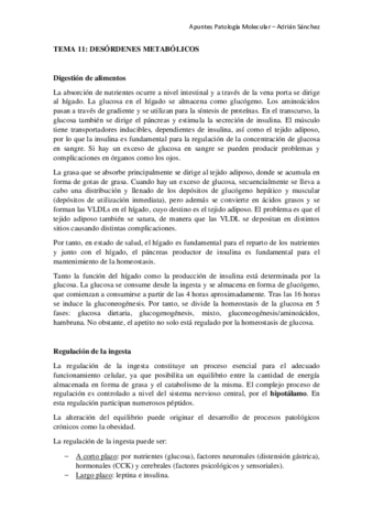 TEMA-11-Patologia-molecular.pdf