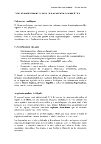 TEMA-12-Patologia-molecular.pdf