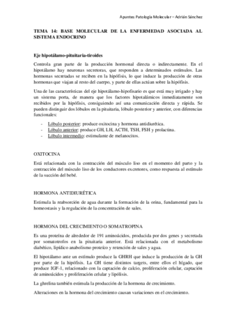 TEMA-14-Patologia-molecular.pdf
