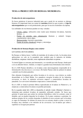 TEMA-4-PYP.pdf