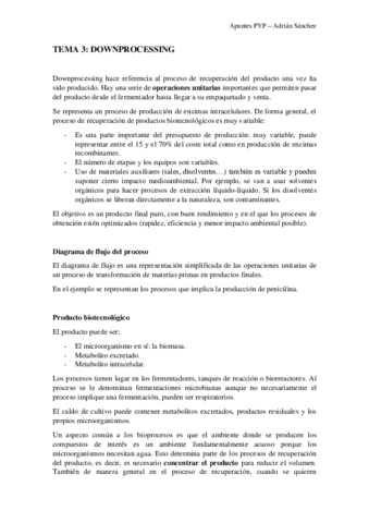 TEMA-3-PYP.pdf