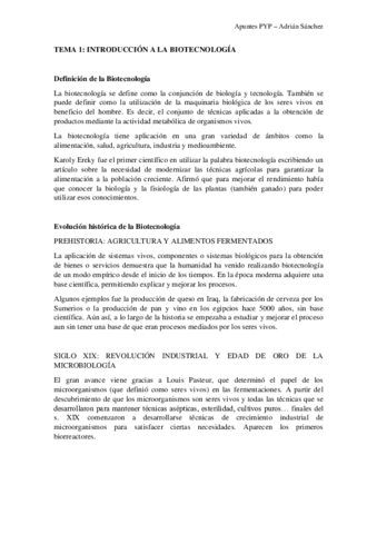 TEMA-1-PYP.pdf