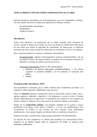 TEMA-8-PYP.pdf