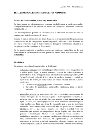 TEMA-5-PYP.pdf